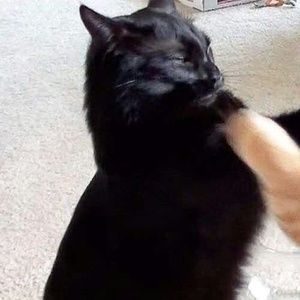 Meet your Posher, Steven